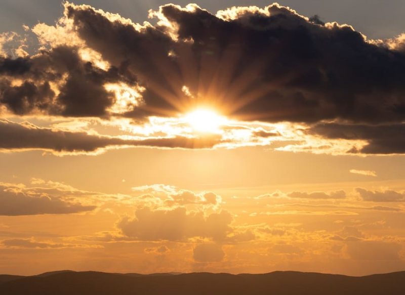 Ecologistas en Acción en la COP27