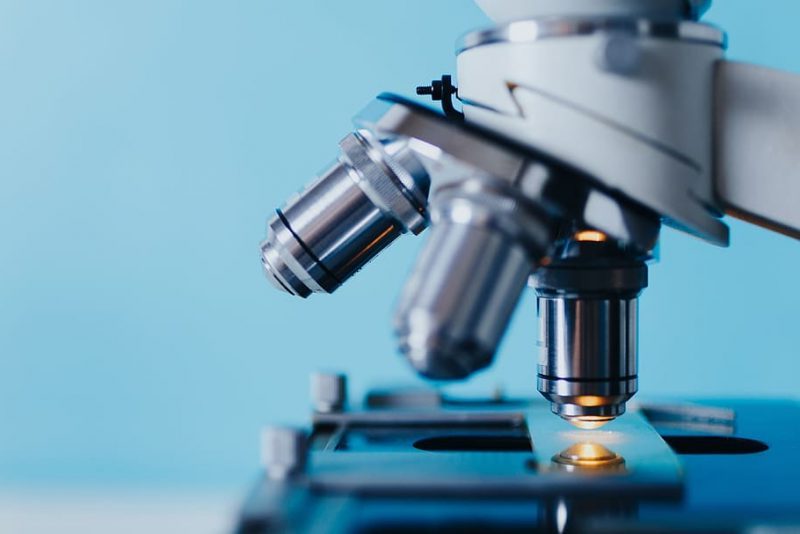 Nanomateriales y plantas