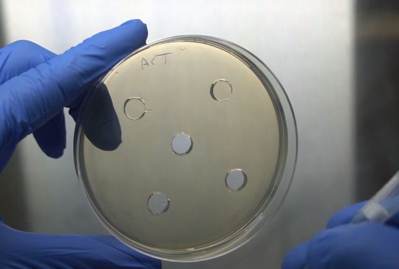 Combatiendo la resistencia a los antimicrobianos