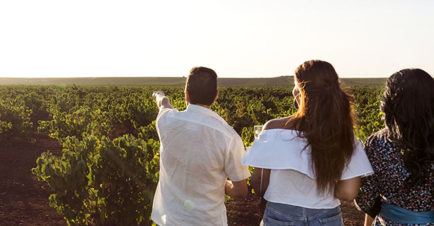 Premio Nacional de Enoturismo