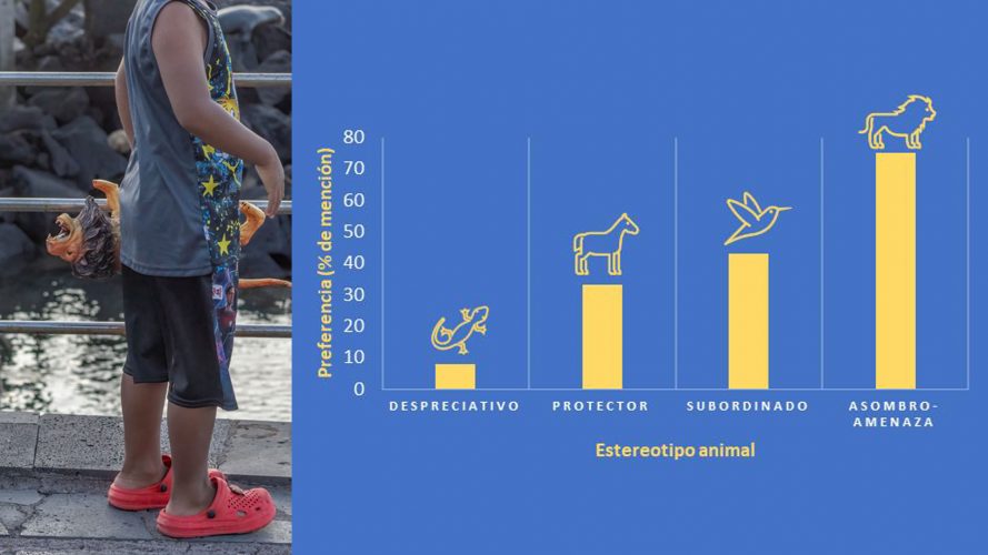 Somos un desastre eligiendo mascotas