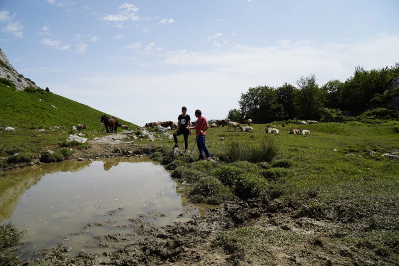 Picos de Europa bajo vigilancia ciudadana
