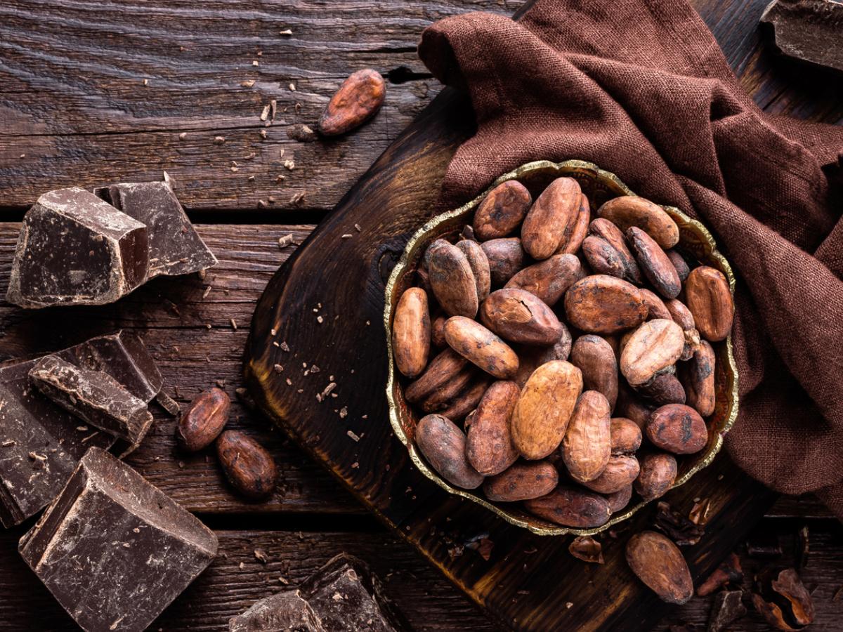 Evitando el cadmio en las plantas de cacao ecoticias