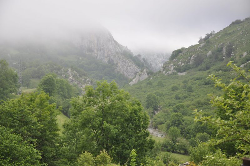Fin de la caza en Parques Nacionales ecoticias