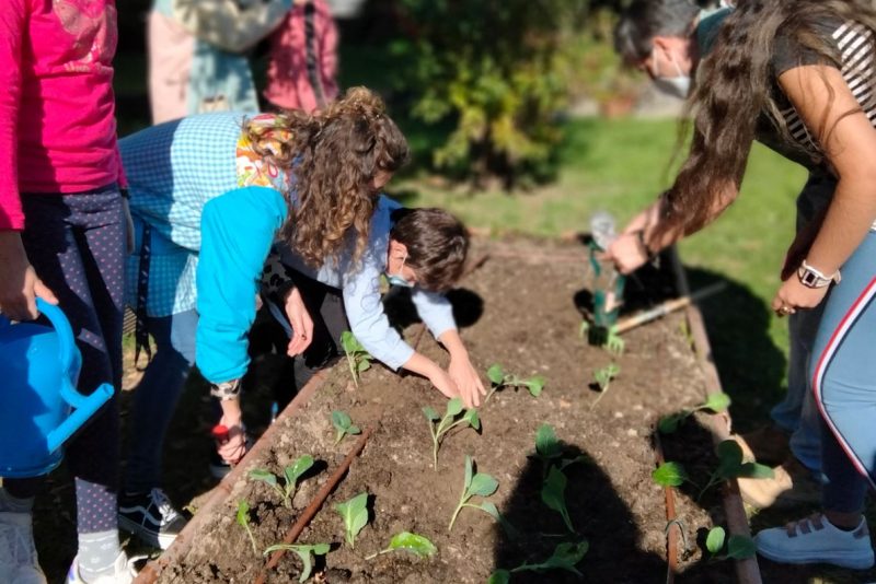 Autocompostaje escolar en Galicia