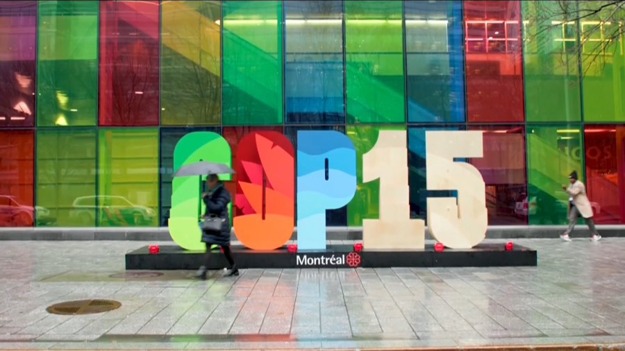 La COP15 de la Convención de la Diversidad Biológica