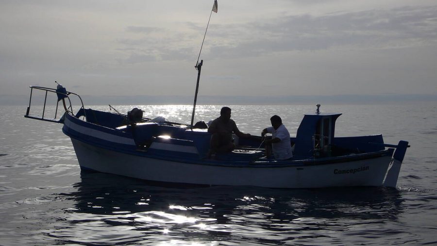 Ley de Pesca: última oportunidad ecoticias