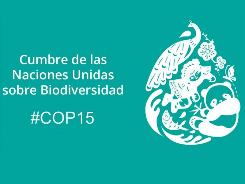 Teresa Ribera en la COP15 de Diversidad Biológica ecoticias