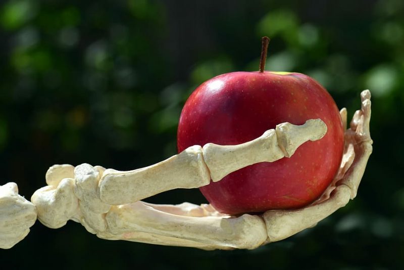 Día Mundial del No Uso de Plaguicidas 2022