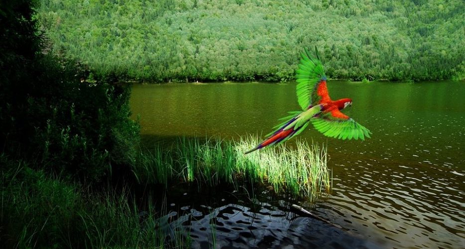 El gran fallo del acuerdo COP15