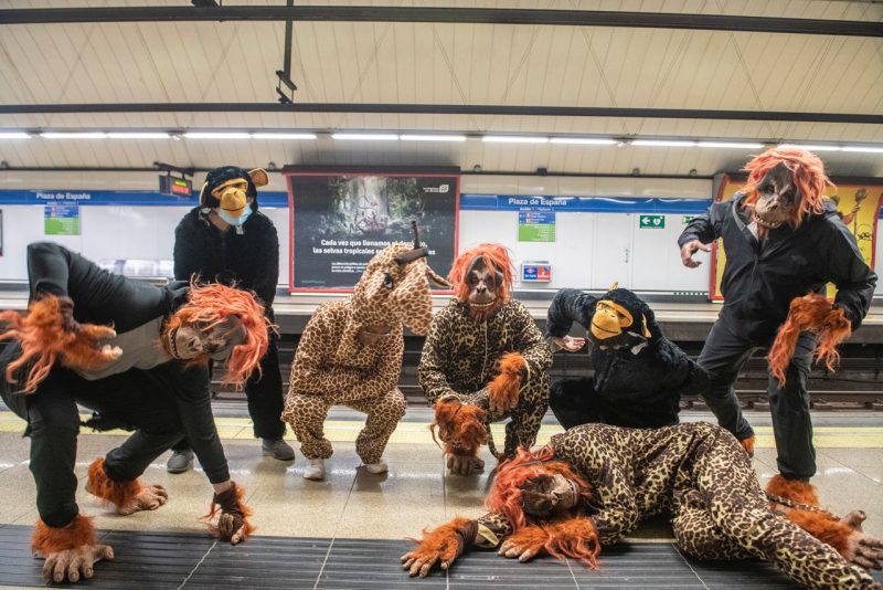 Orangutanes y jaguares en el Metro de Madrid