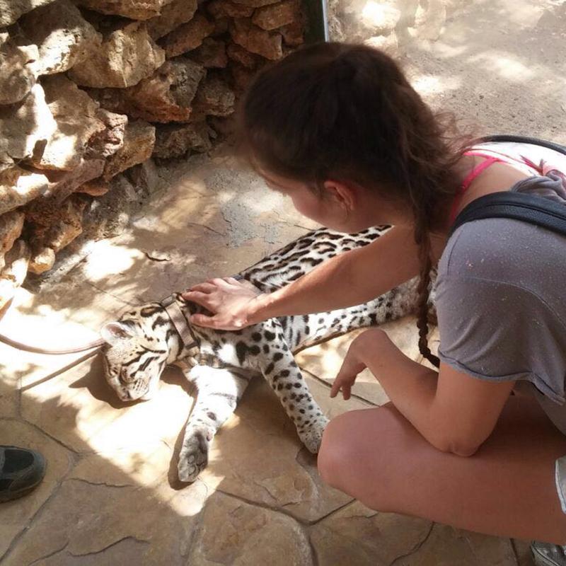 Basta de molestar a los animales salvajes