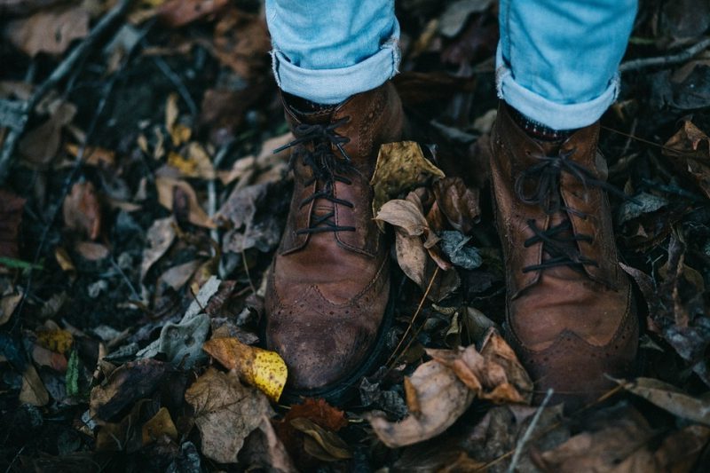 Reales Decretos para proteger los suelos.