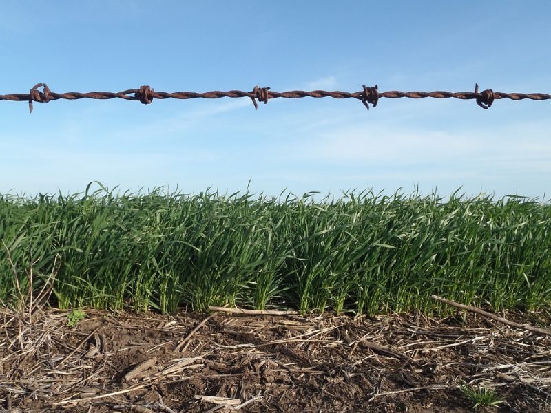 Toques finales a la PAC