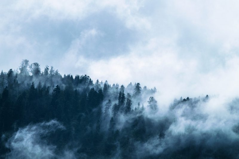 Acuerdo COP15 = Punto de partida