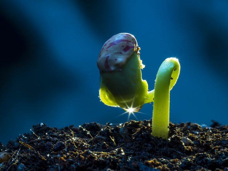 Día Mundial del Suelo 2022