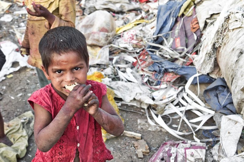Seguridad alimentaria en la encrucijada
