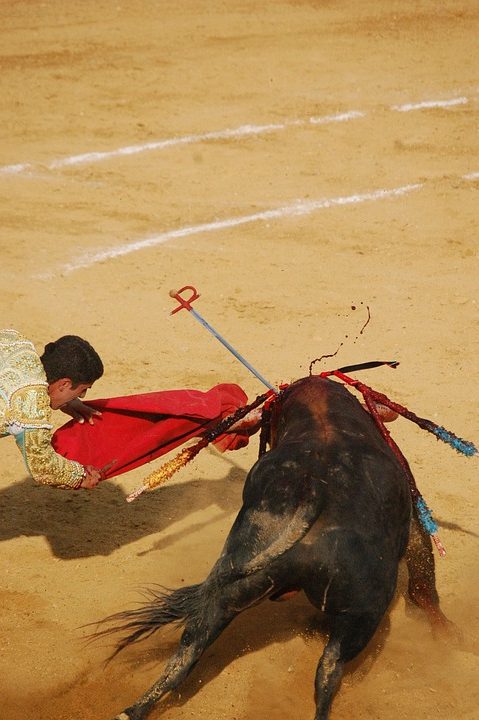 España ilegaliza las corridas de toros