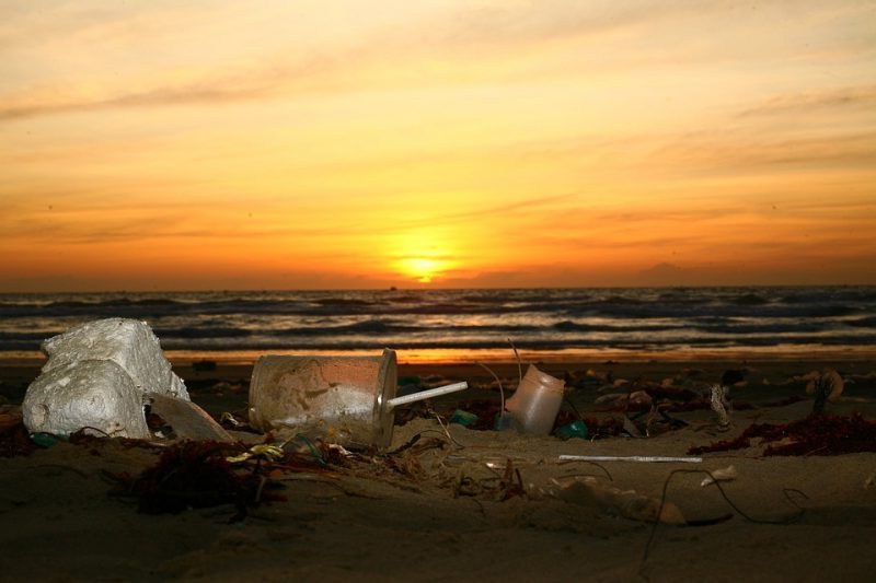 Por fin un RD de envases coherente