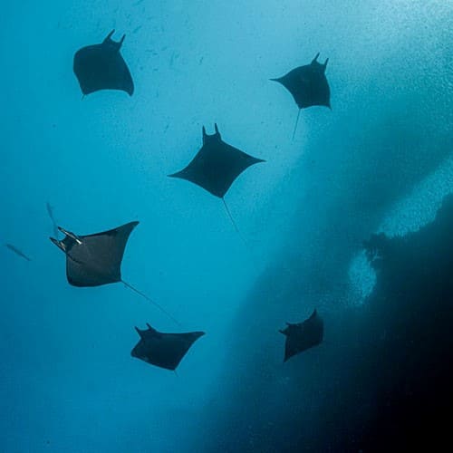 10 logros para la Naturaleza de 2022