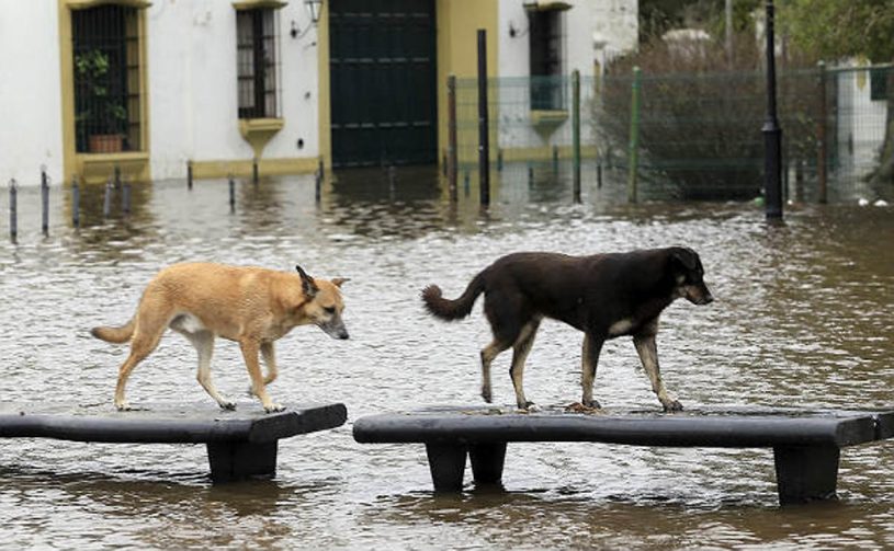 Actualización de los planes de gestión del riesgo de inundación