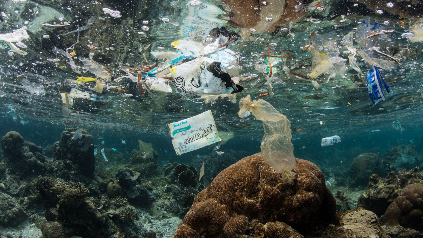 plástico en los océanos