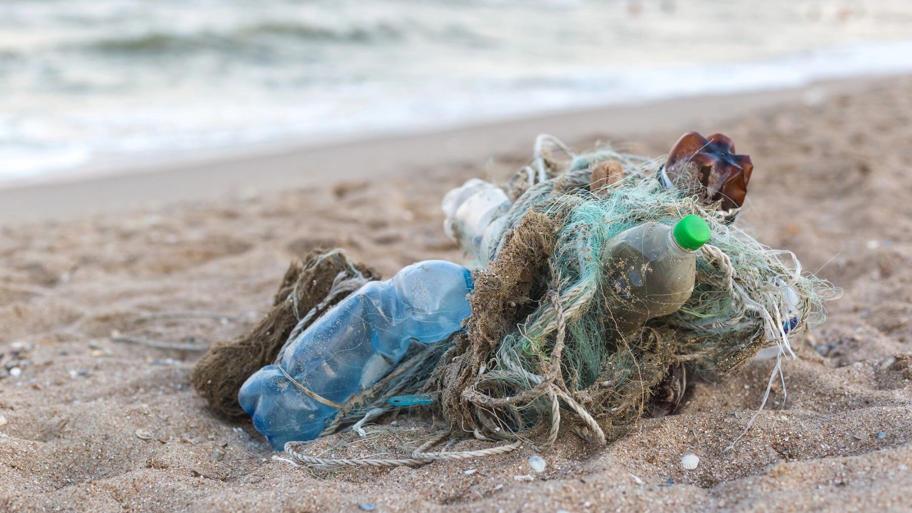Contaminación plástica océanos