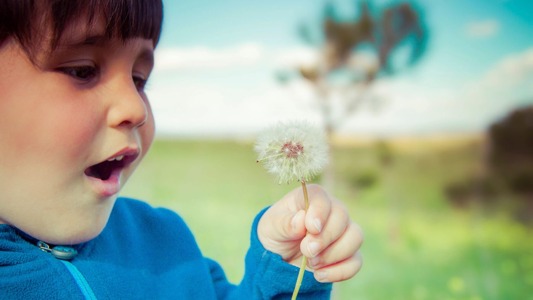 Importancia y beneficios de la naturaleza para los niños