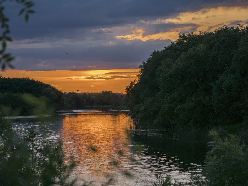 Hábitats naturales de Calahorra ecoticias.com