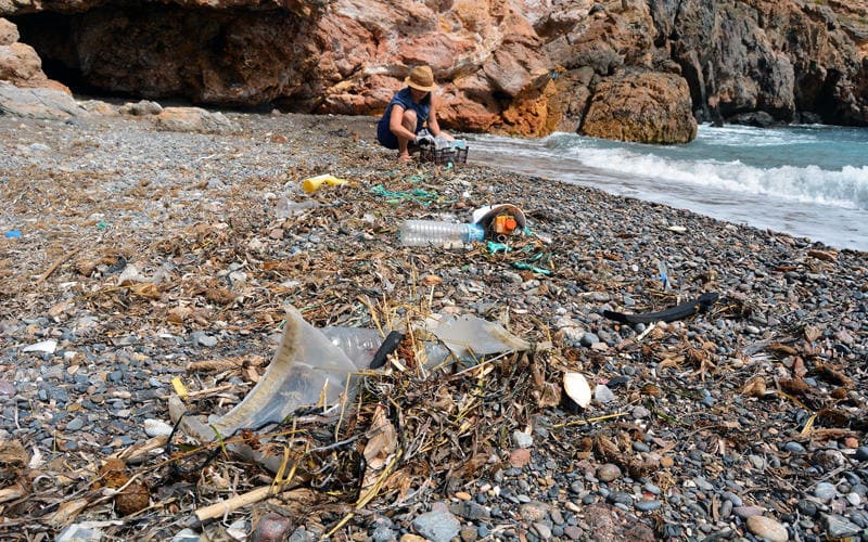 ANSE también retira basuraleza