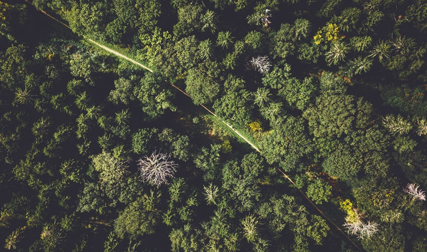 Bridget Emmett nueva presidenta de la BES