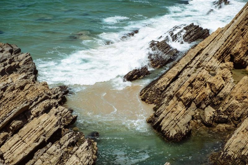 Portugal: Nueva especie de molusco del Jurásico