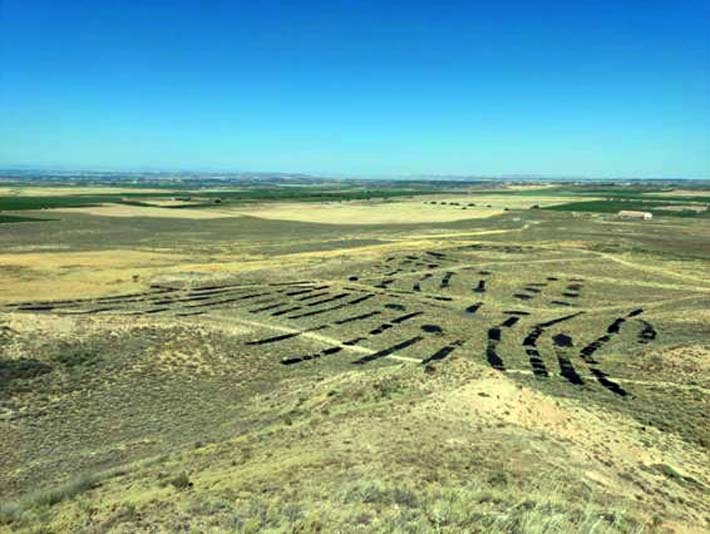 Qué pasa con los suelos protegidos de Alfaro ecoticias.com