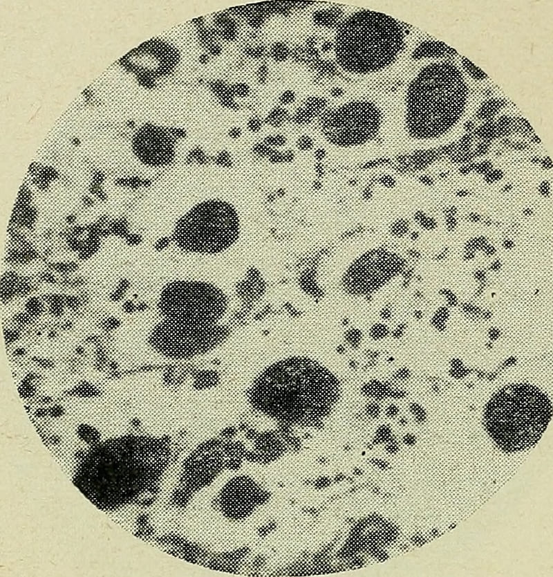 Los parásitos también se extinguen