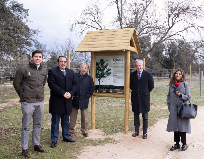 Undécimo Bosque SIGAUS en Boadilla del Monte