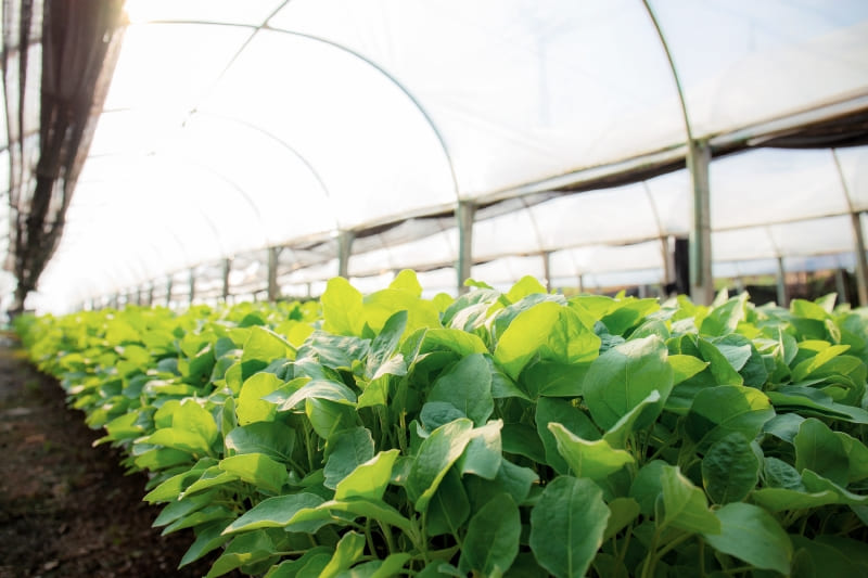 Proyecto AZMUD, coordinado por AIMPLAS