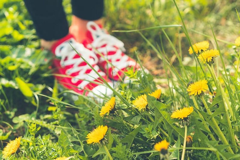 Celebrando el Día Mundial de la Educación Ambiental