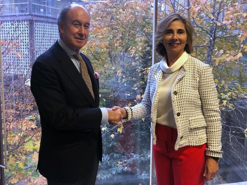 OAS y ANFALUM iluminación saludable y sostenible