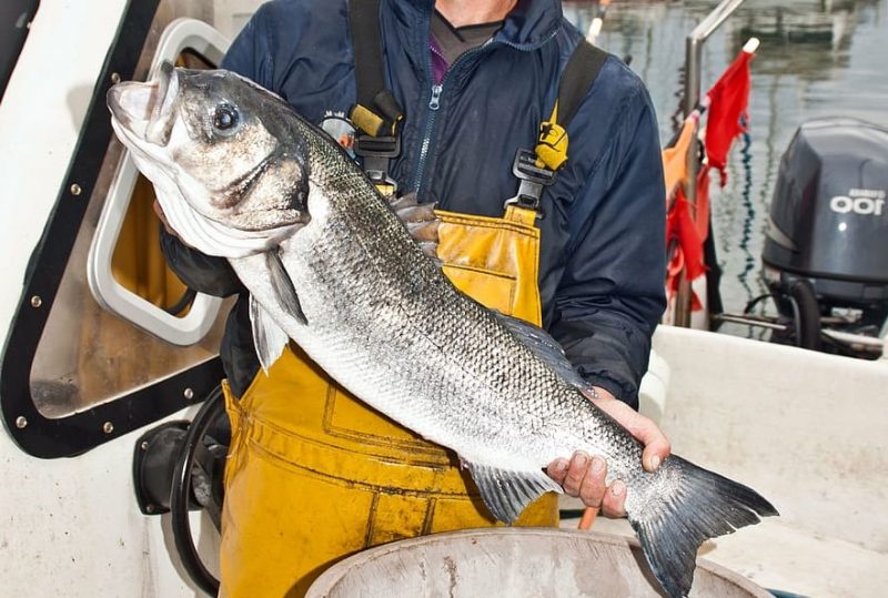 Día Mundial del Pescador 2022