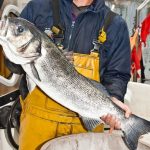 Día Mundial del Pescador 2022