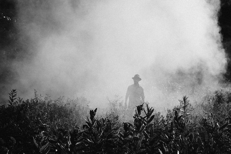 ¿Lula podrá contener los pesticidas?