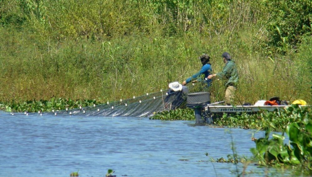 Presión humana letal para humedales