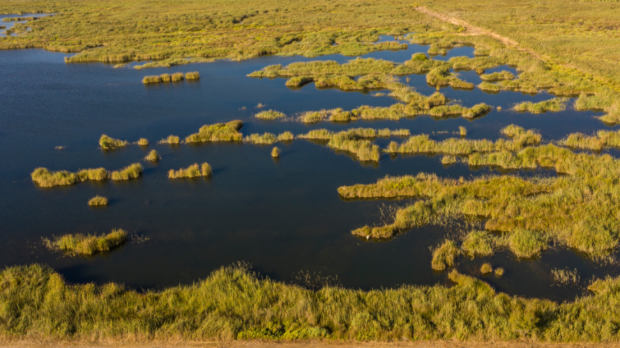 FGN ayuda a gestionar humedales