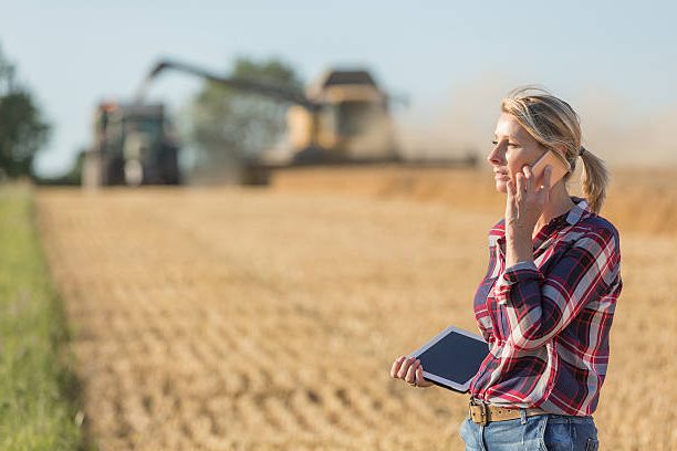 Apoyo del MAPA a proyectos innovadores