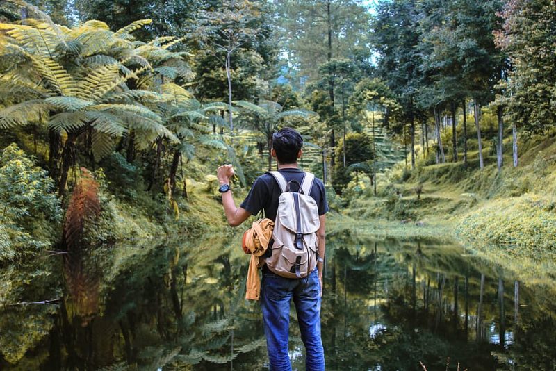 Celebrando el Día Mundial de la Educación Ambiental