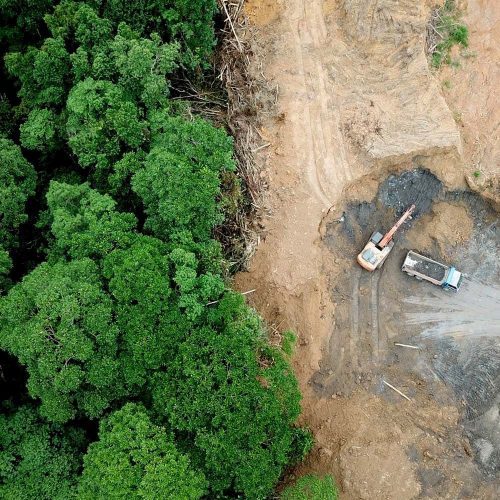 10 logros para la Naturaleza de 2022