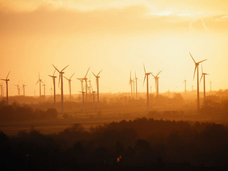 Ecocidio en el Congreso por macrorenovables