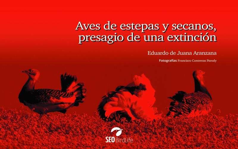 Nuevo libro de SEO/BirdLife
