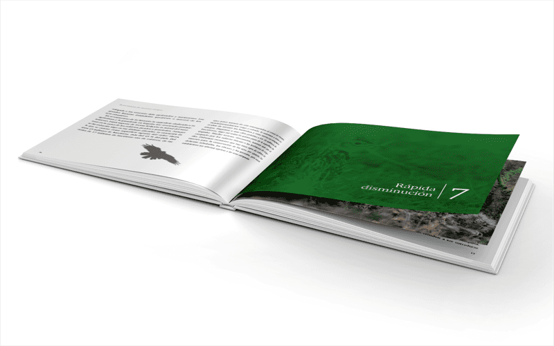 Nuevo libro de SEO/BirdLife