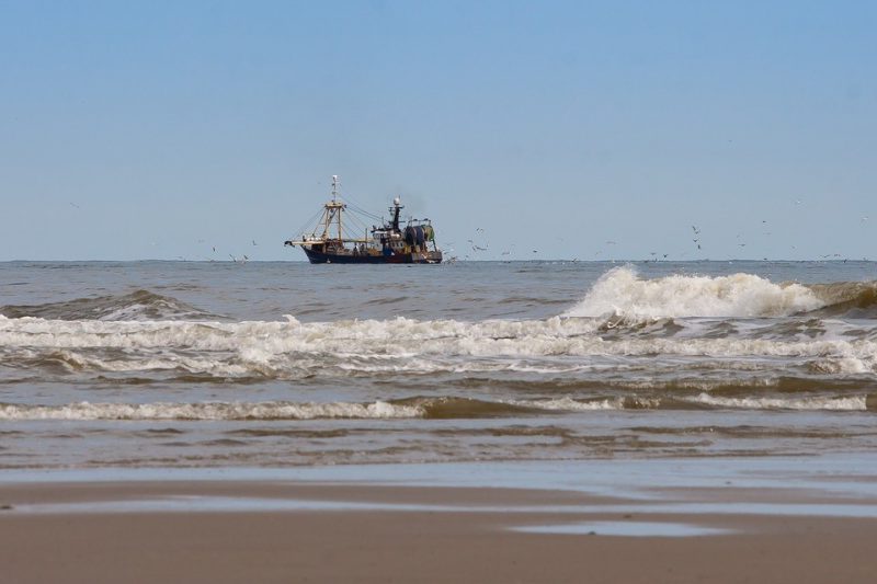 Los peros de la Ley de Pesca Sostenible